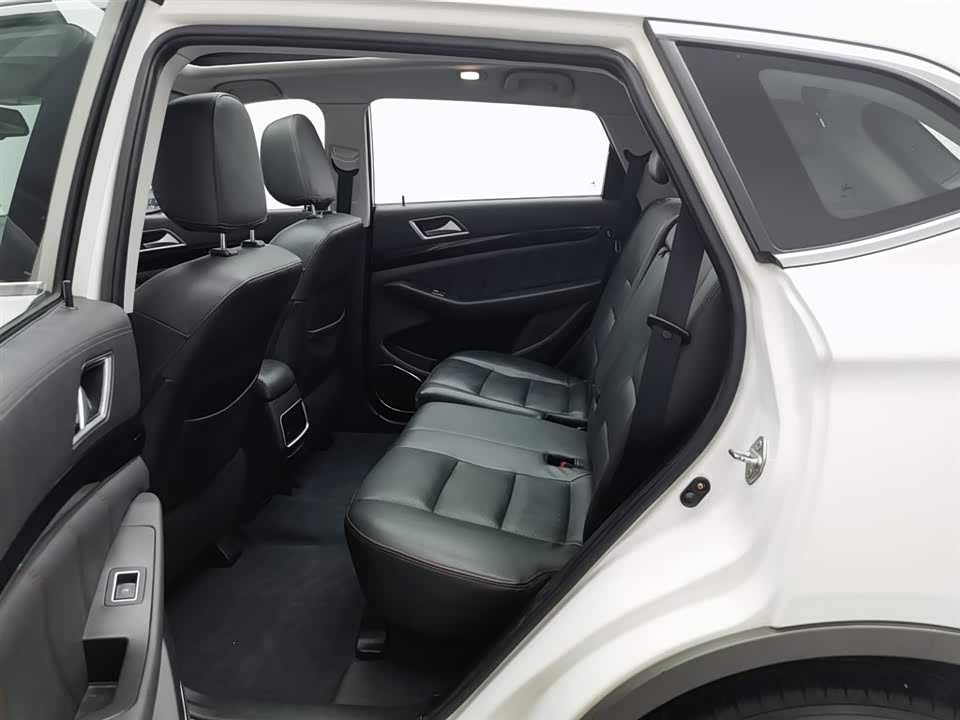 Leopaard Cheetah CS10