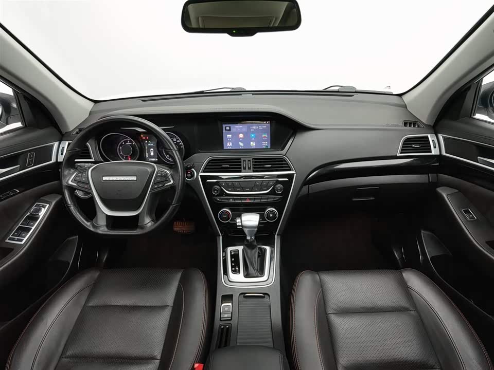 Leopaard Cheetah CS10