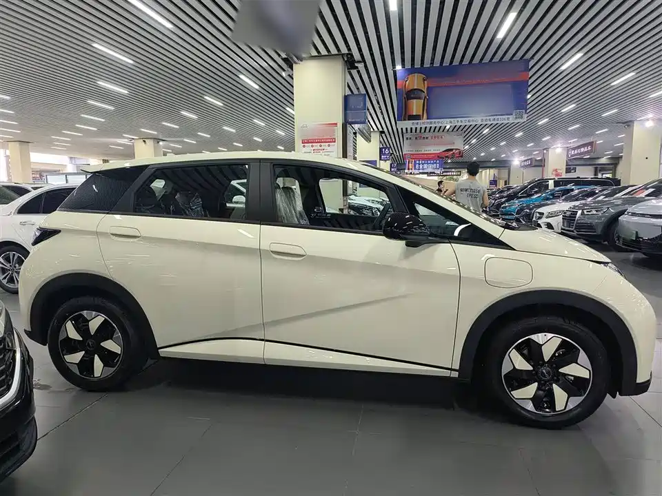BYD dolphin