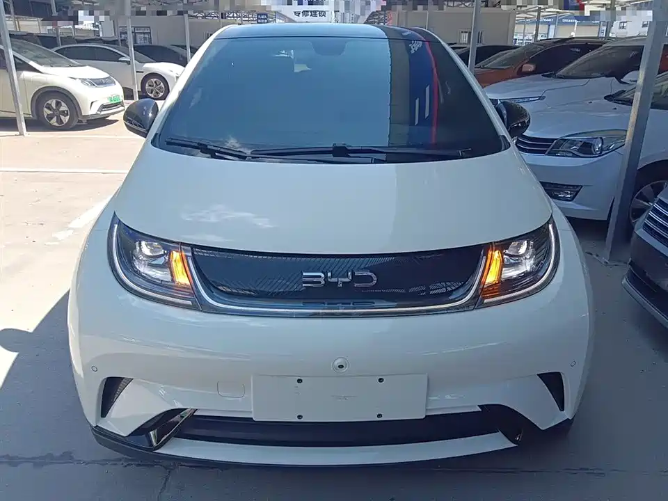 BYD dolphin