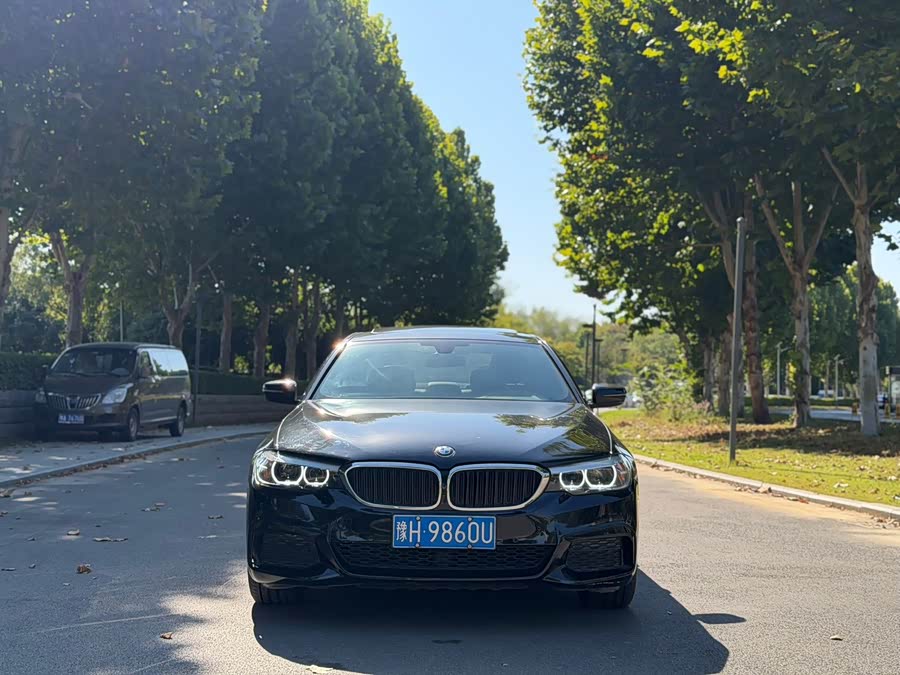 BMW 5 Series 2020, фото 2