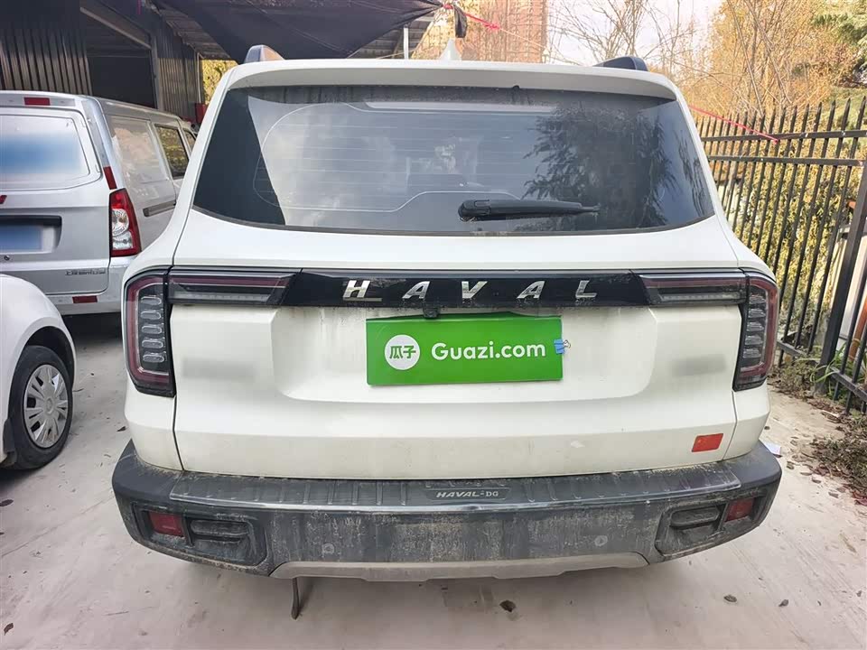 Haval Big dog