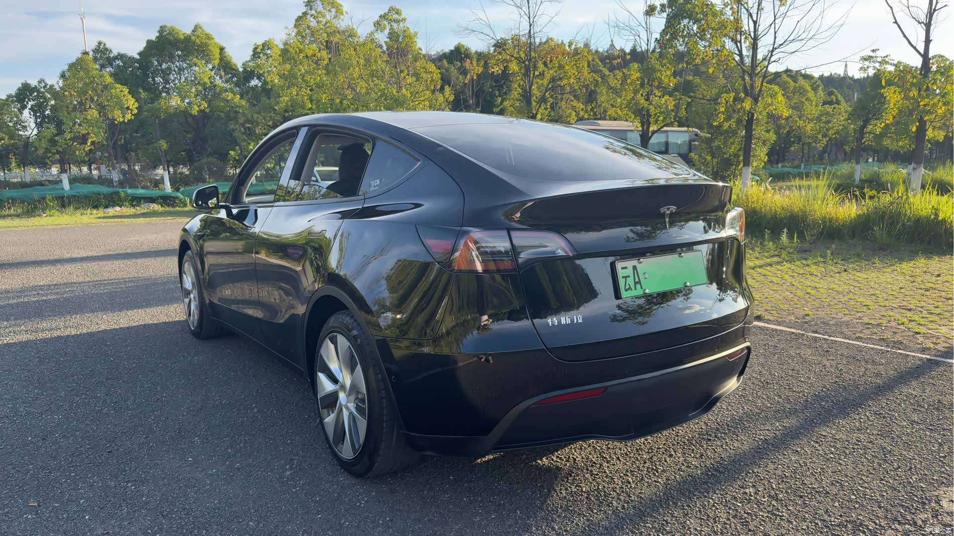 Tesla Model Y, 2023 6