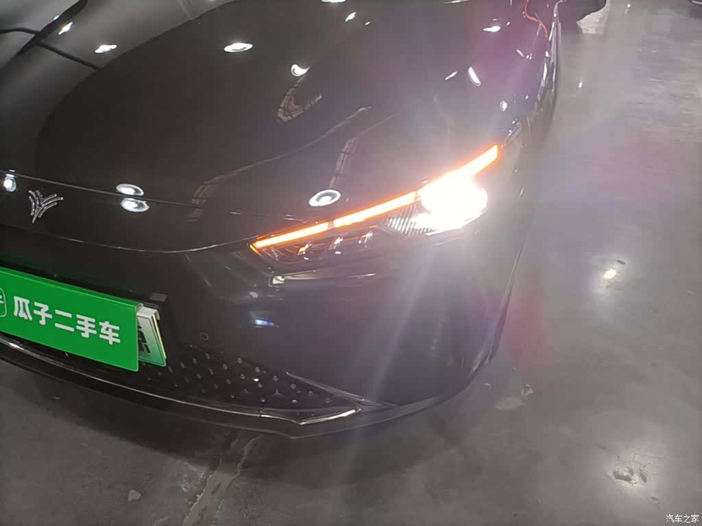 Neta L, 2024 24