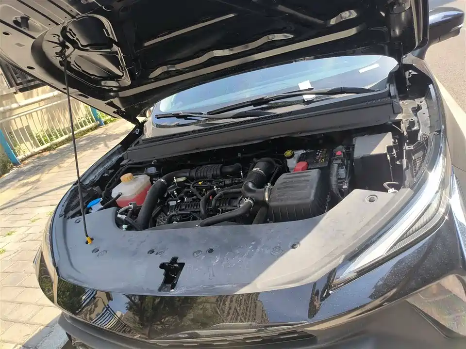 Forthing Popular T5 EVO