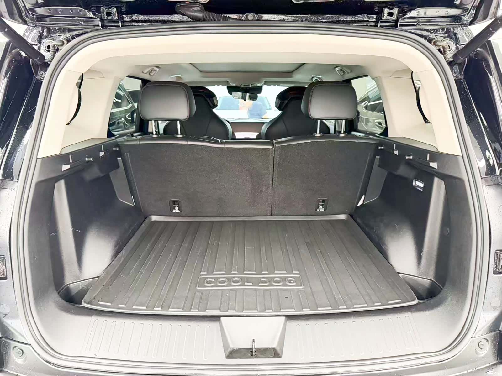 Haval Cool Dog, 2022 19