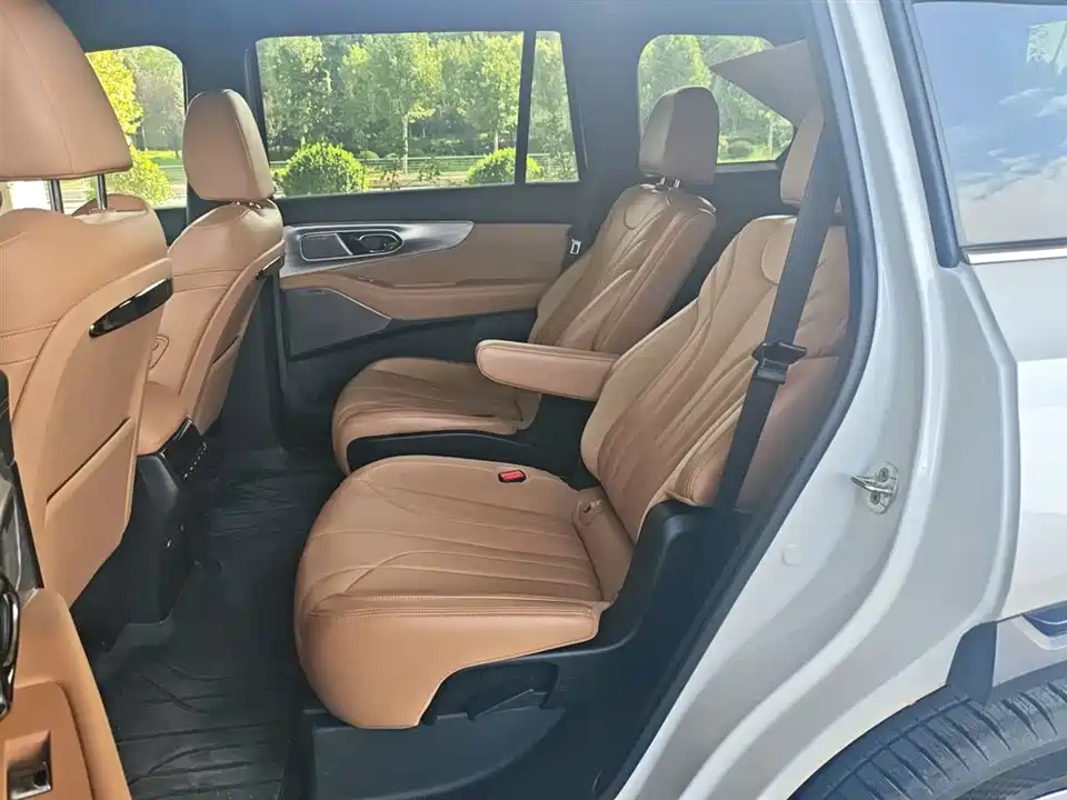 Trumpchi Trumpchi ES9