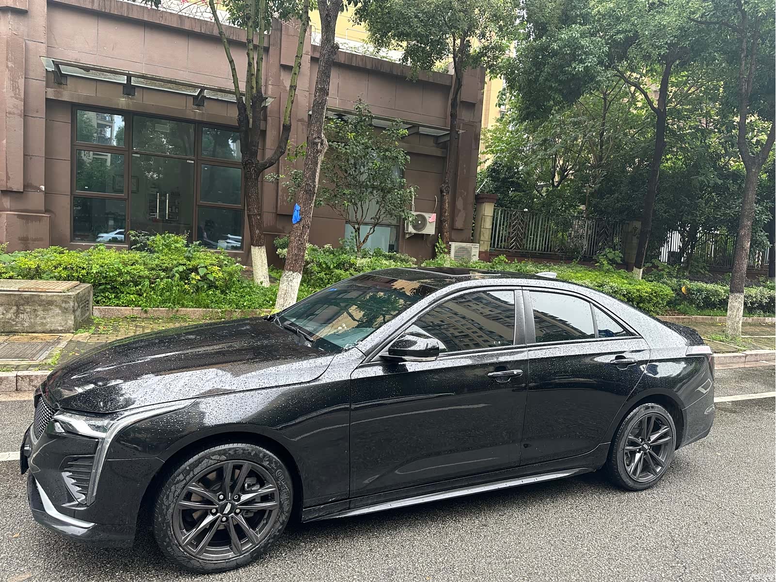 Cadillac CT4, 2023 все фото
