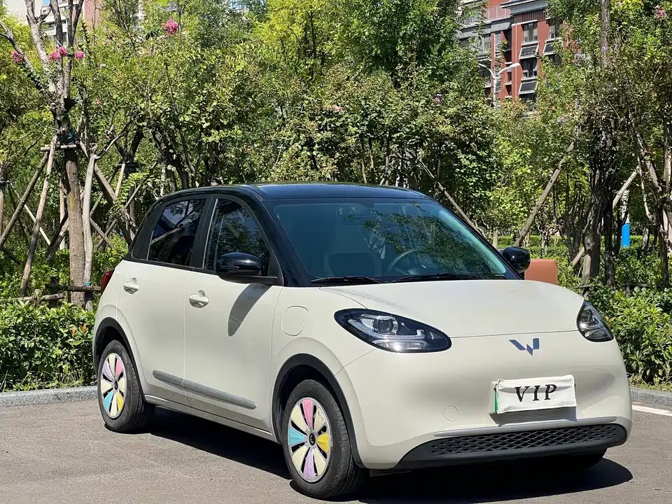 Wuling Wuling Bingguo