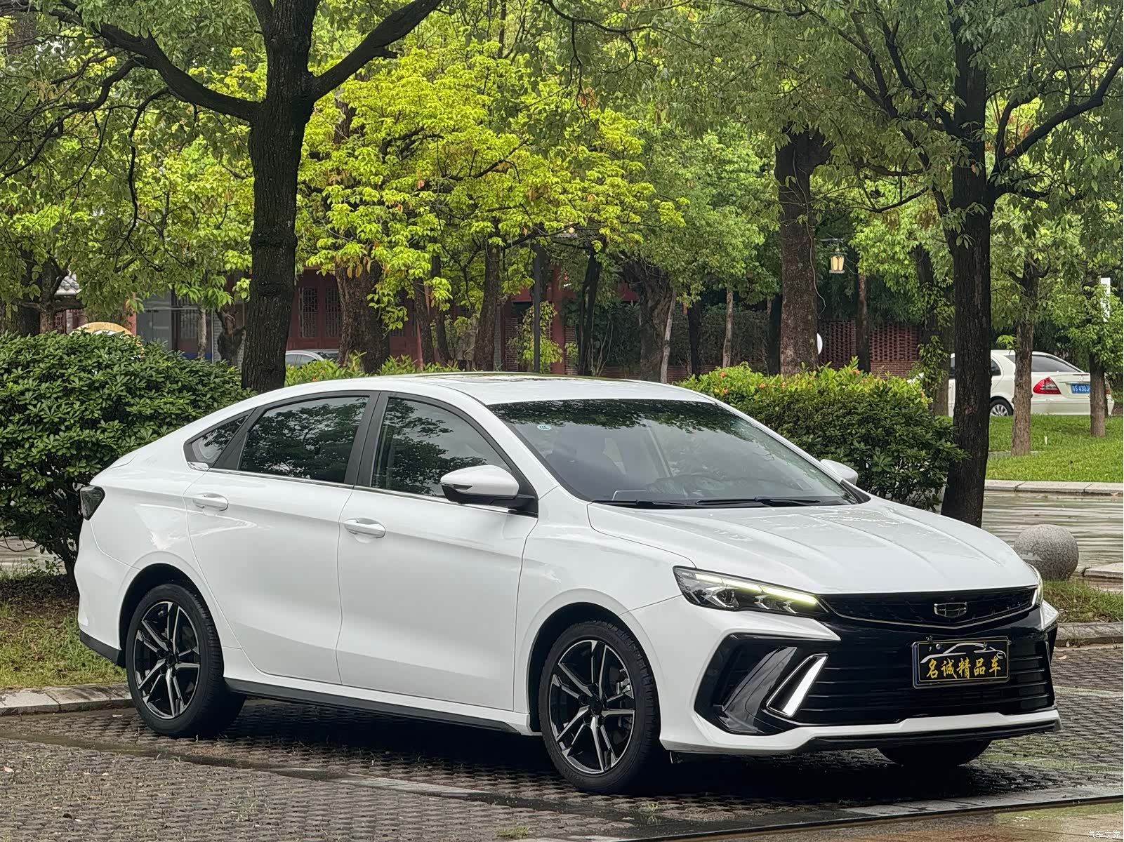 Geely Binray, 2023 3