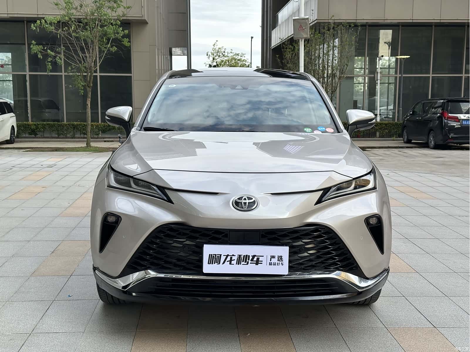 Toyota Venza, 2023 3