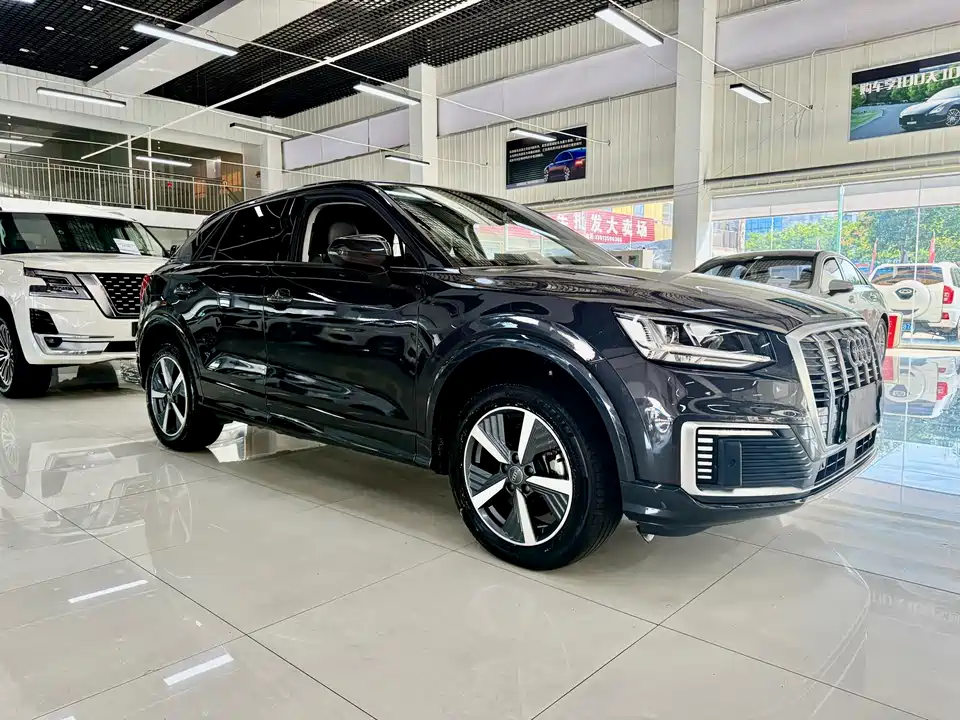 Audi Q2L