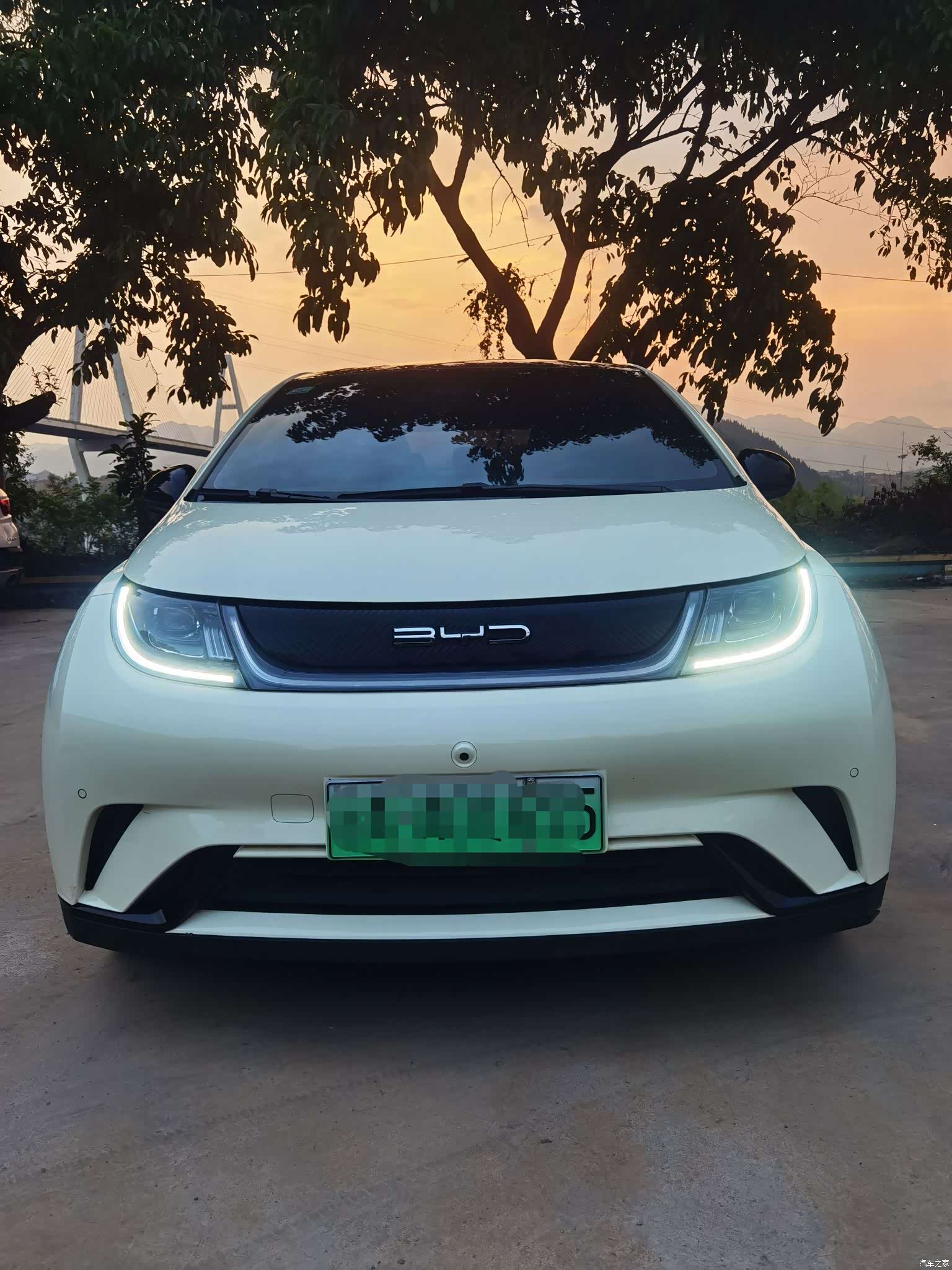 BYD Dolphin, 2024 1