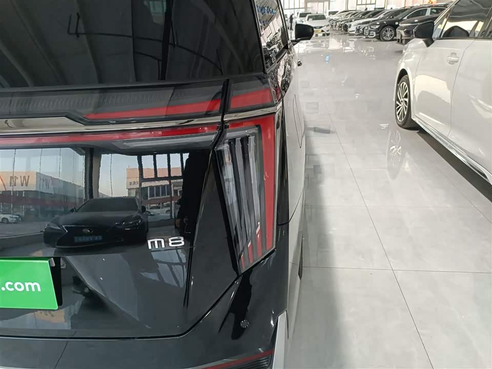 Trumpchi Trumpchi M8