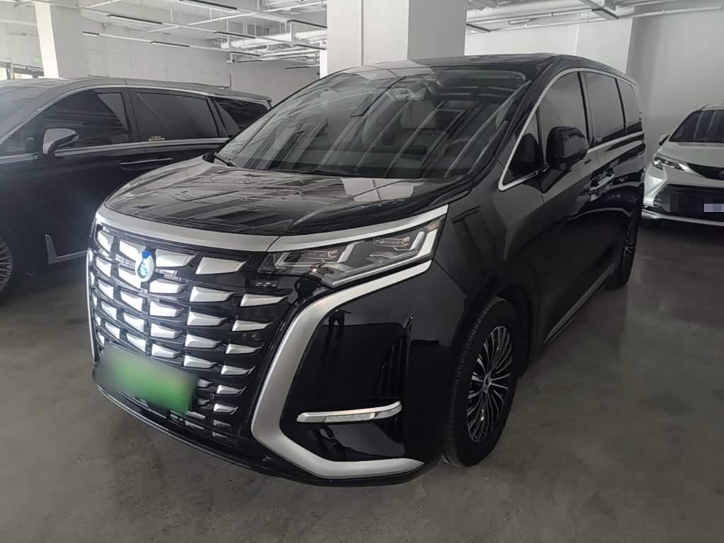 Denza D9