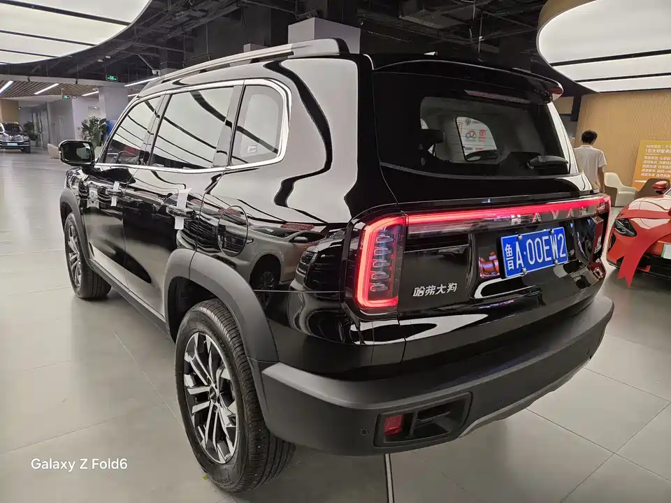 Haval Big dog