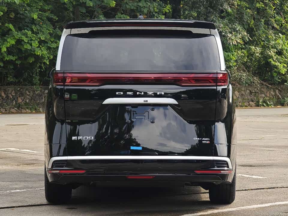 Denza D9