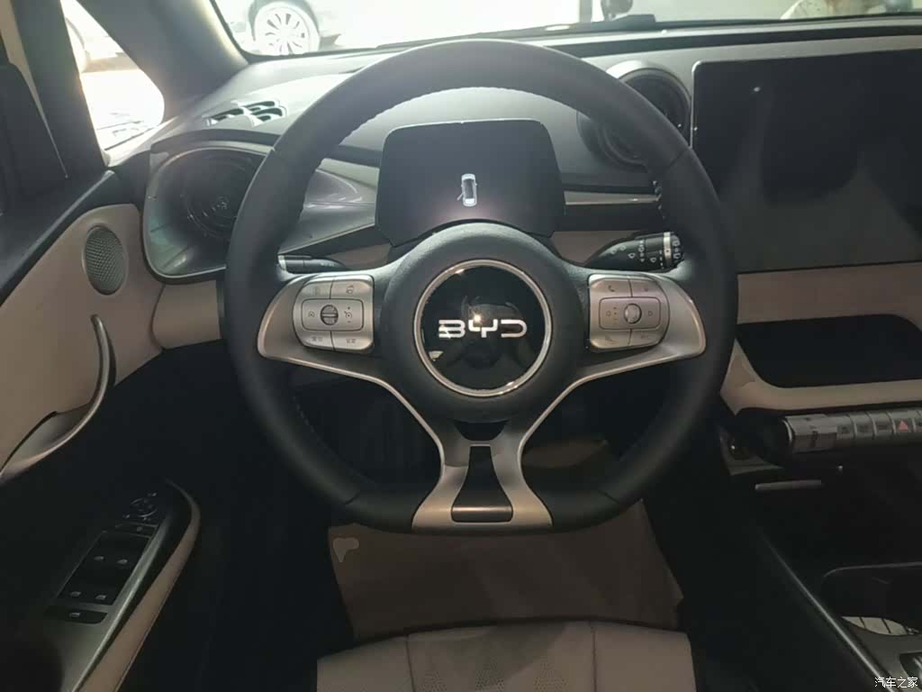 BYD Dolphin, 2024 11