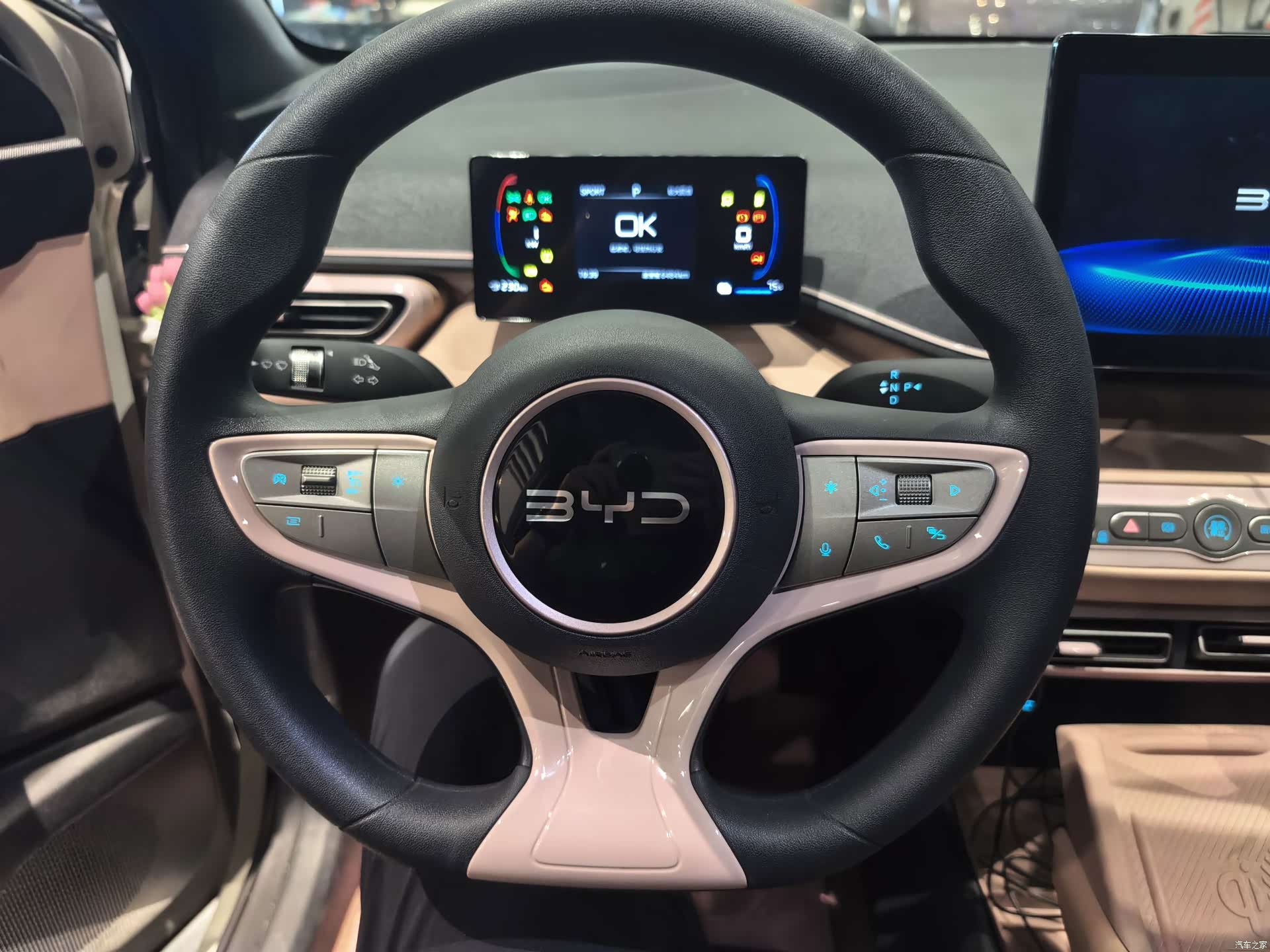 BYD Seagull, 2026 9