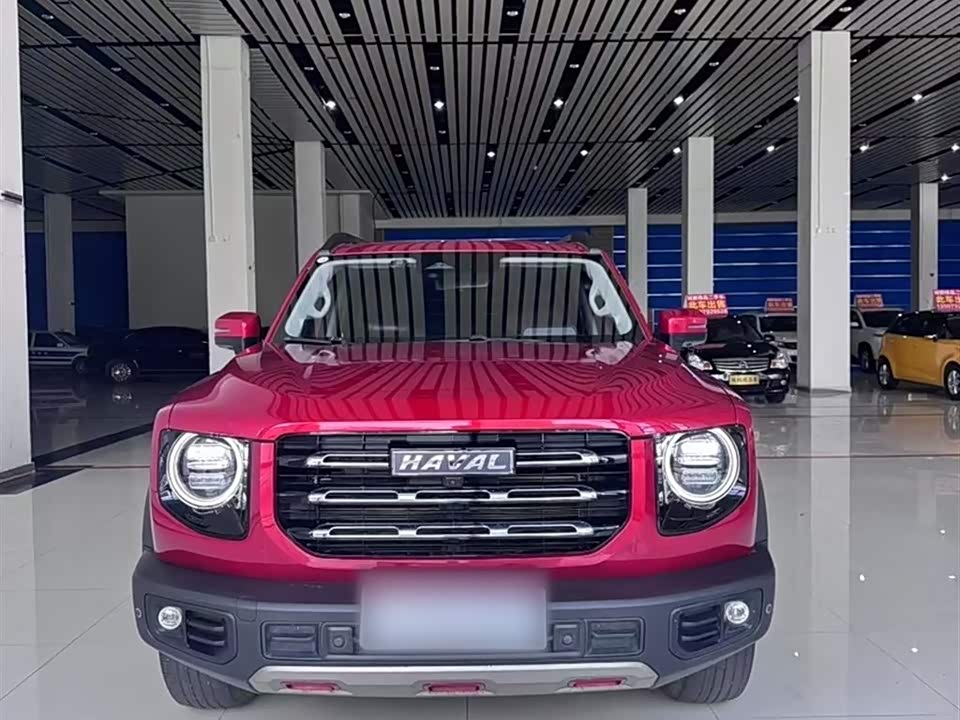 Haval Big dog