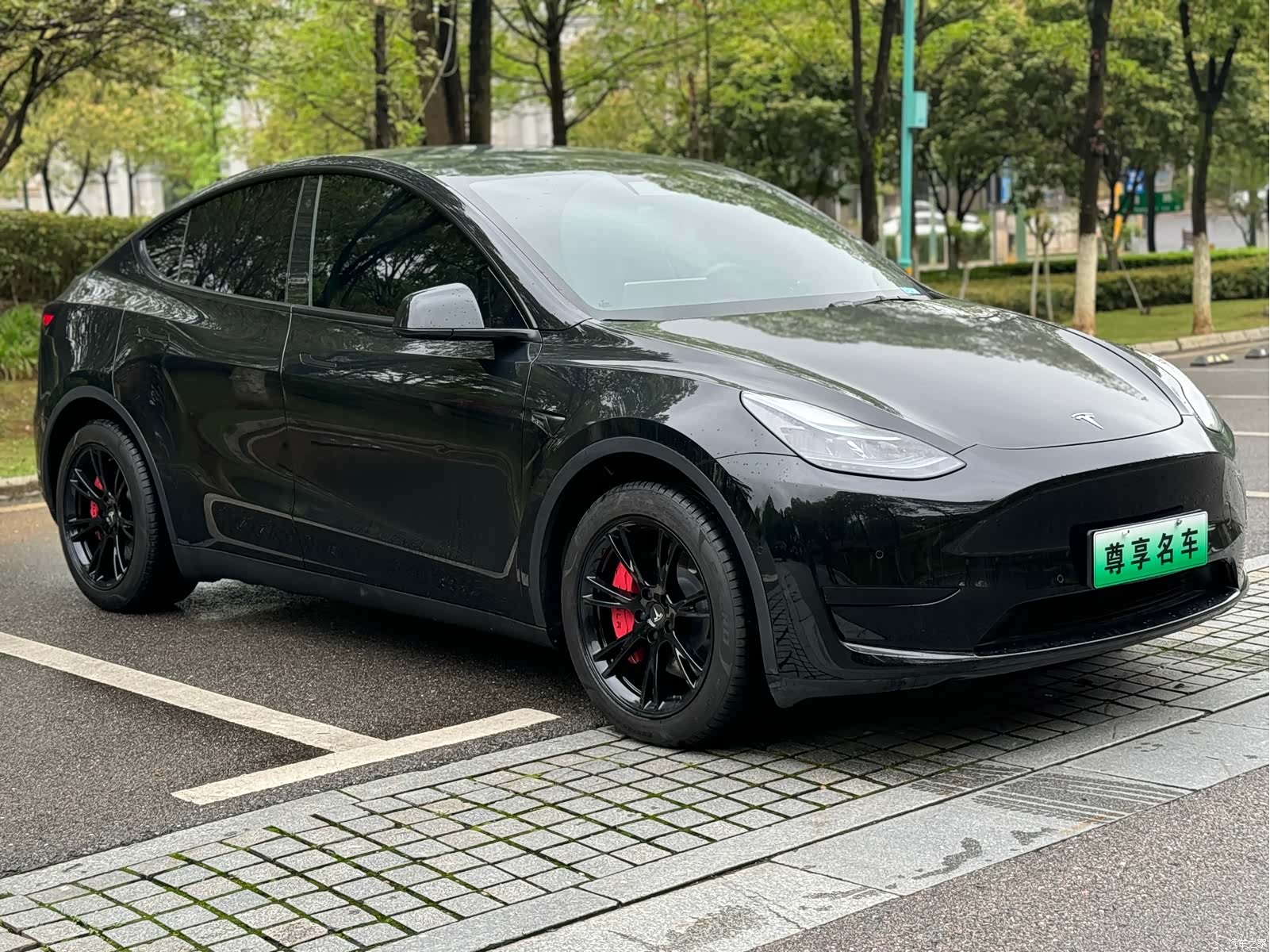 Tesla Model Y, 2023 3