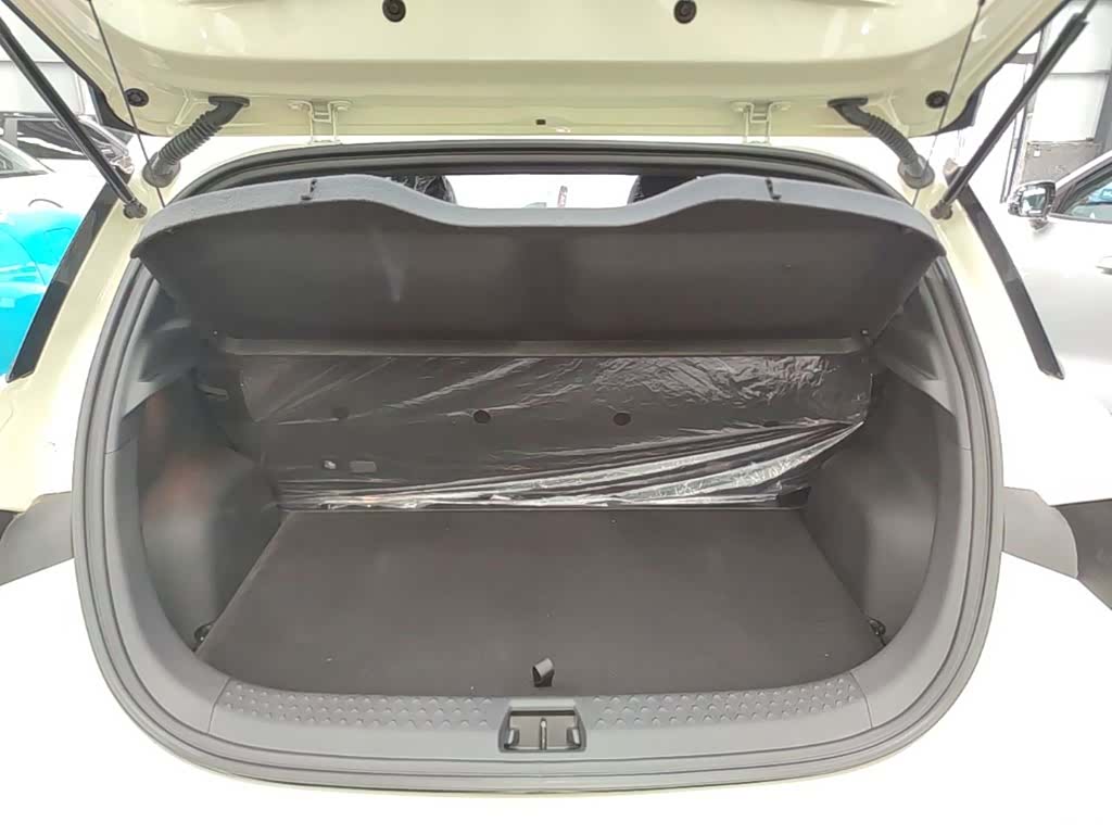 BYD Dolphin, 2026 19