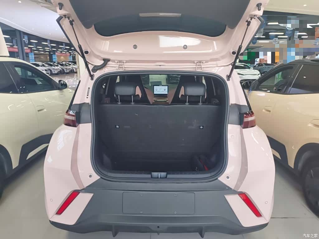 BYD Seagull, 2024 19