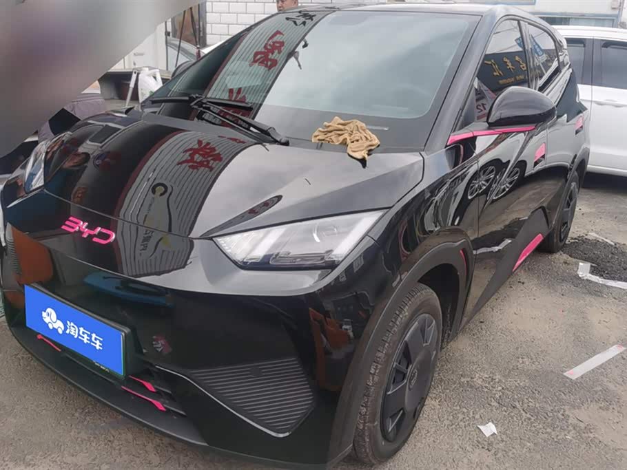 BYD Seagull