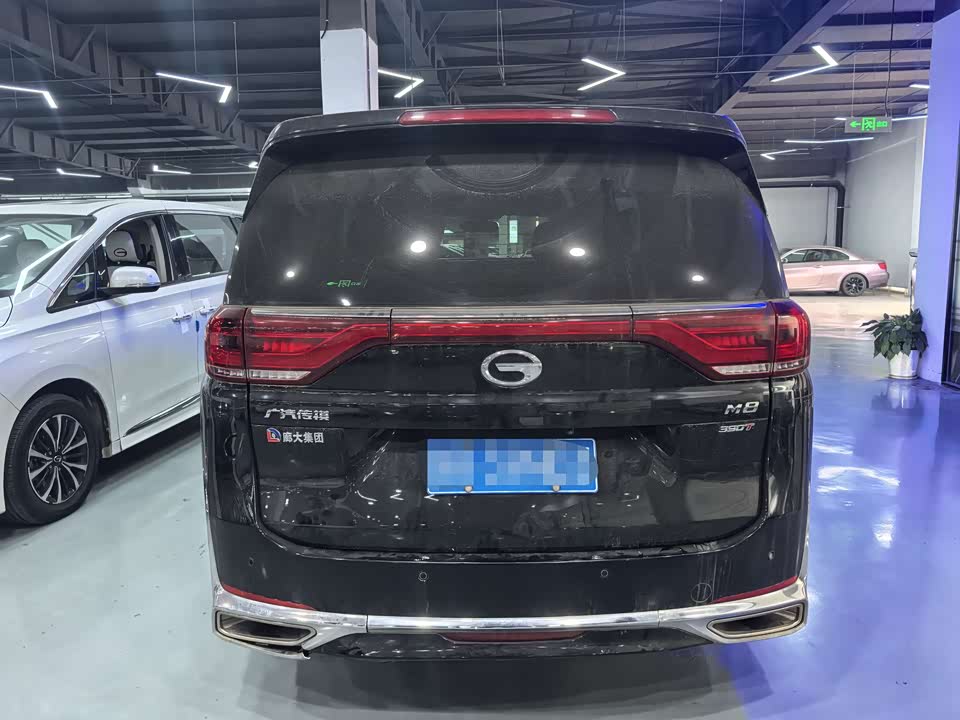 Trumpchi Trumpchi M8