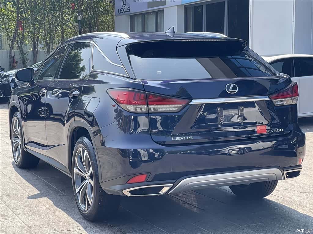 Lexus RX, 2022 4