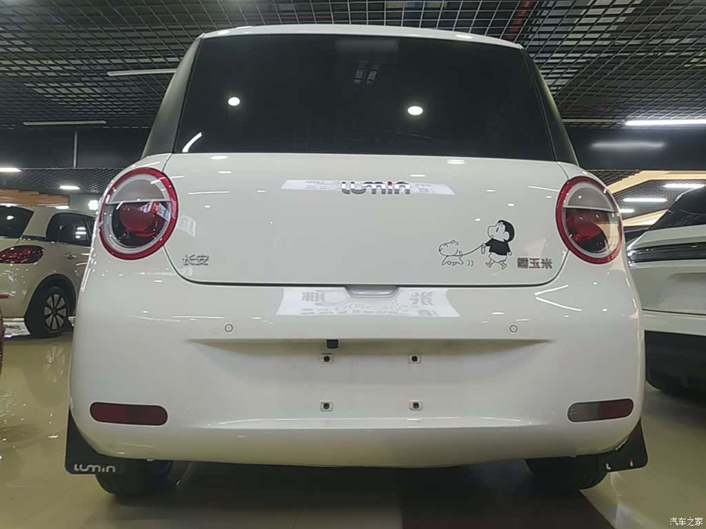 Changan Lumin, 2025 6