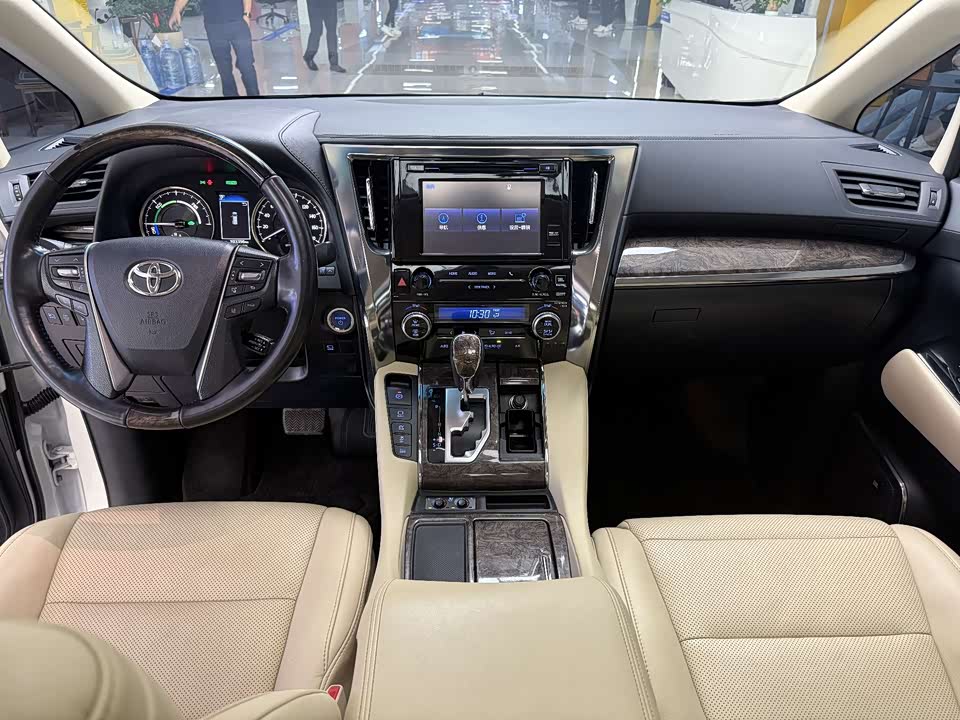 Toyota Elfa