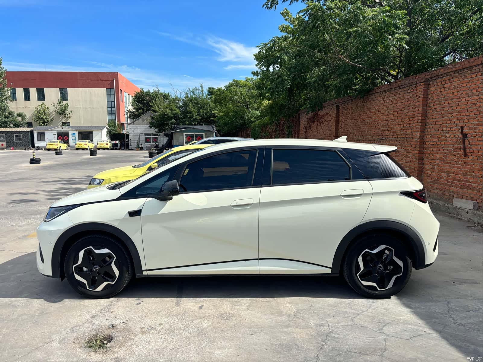 BYD Dolphin, 2025 все фото