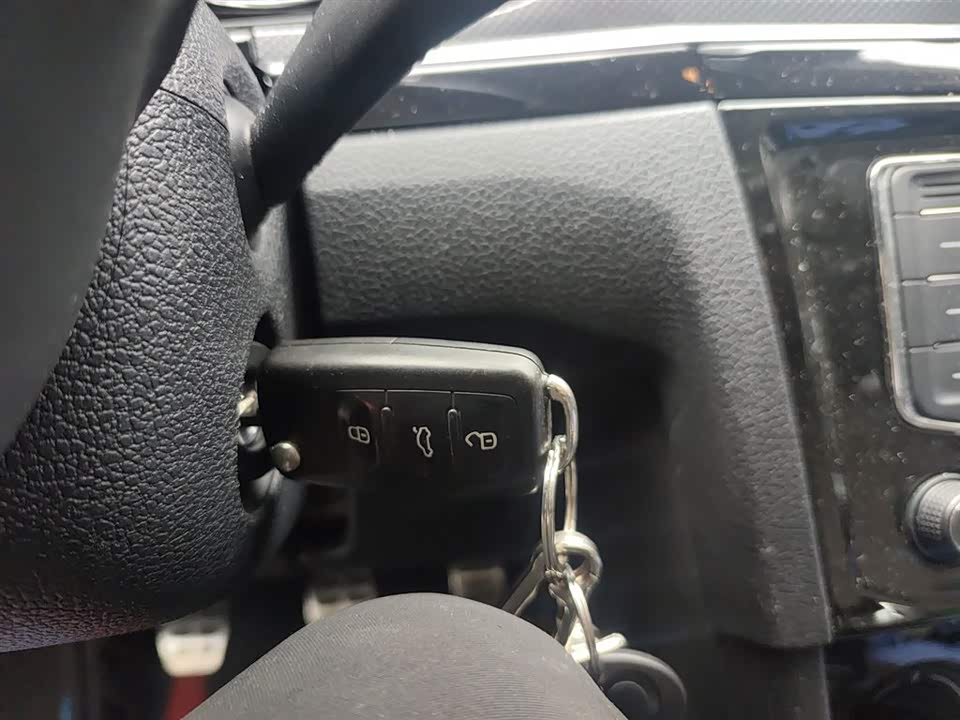 Volkswagen C-TREK Wei Collar