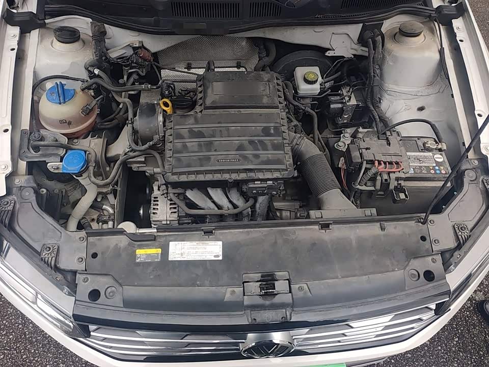 Volkswagen C-TREK Wei Collar