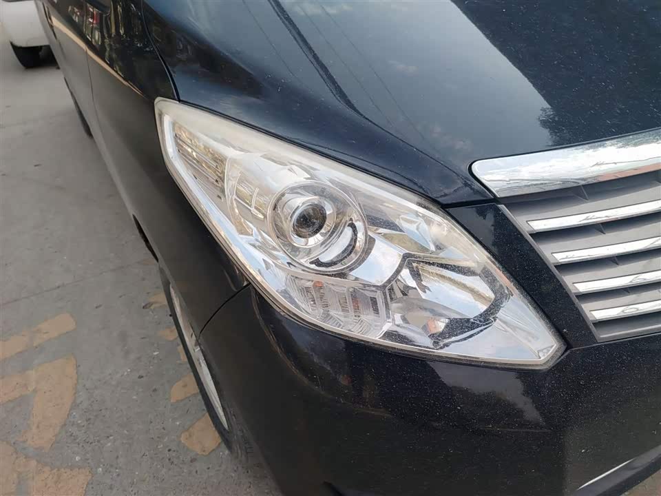 Forthing Lingzhi PLUS