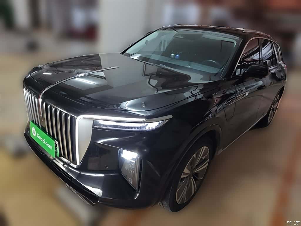 Hongqi E-HS9, 2022 1