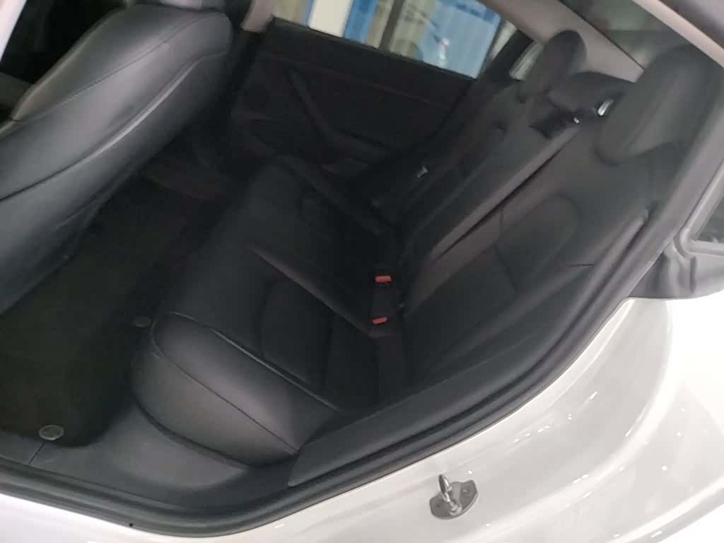 Tesla Model 3, 2021 17