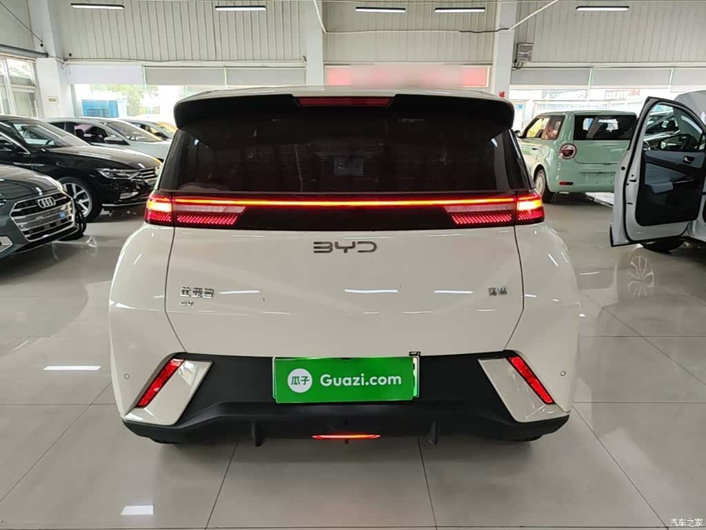 BYD Seagull, 2024 6