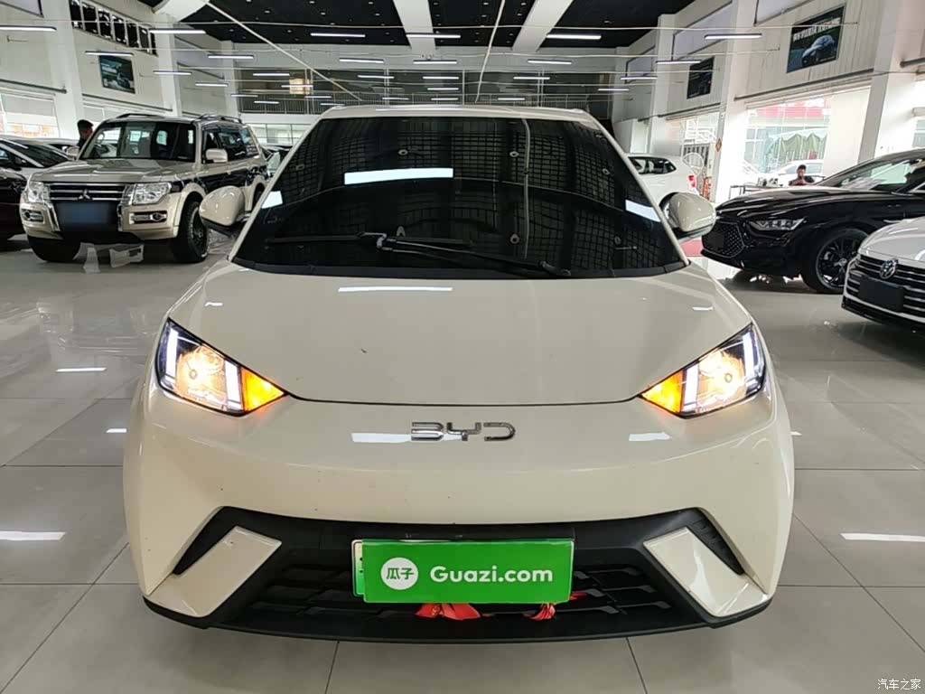 BYD Seagull, 2024 3