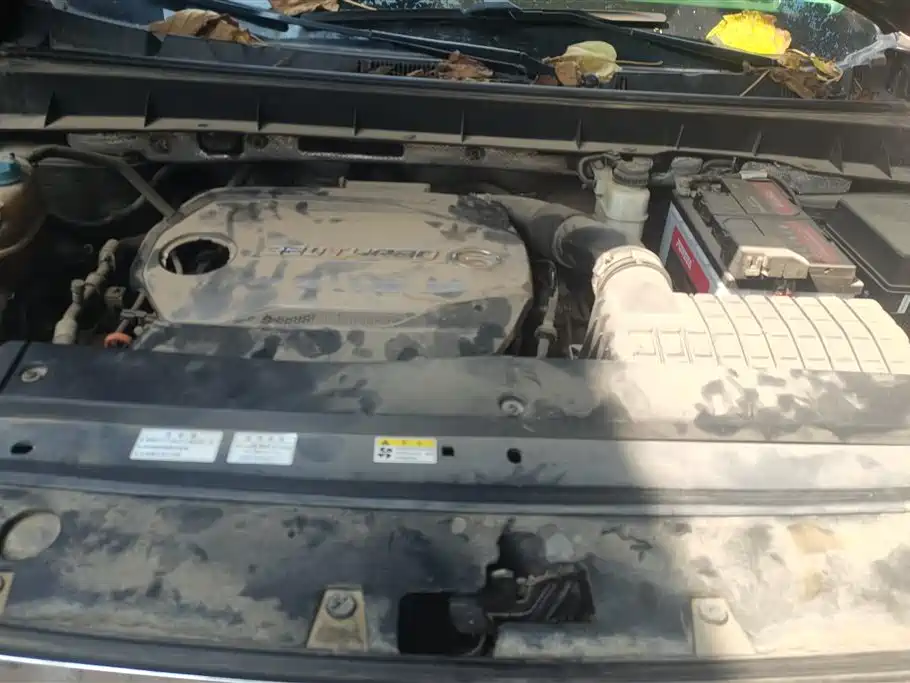 Trumpchi Trumpchi GS8