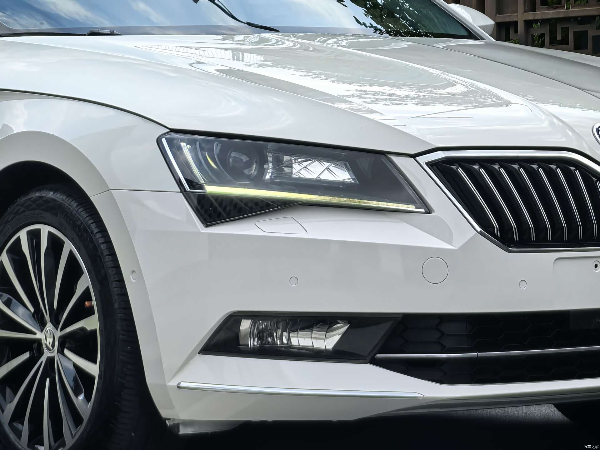 Skoda Superb, 2018 все фото