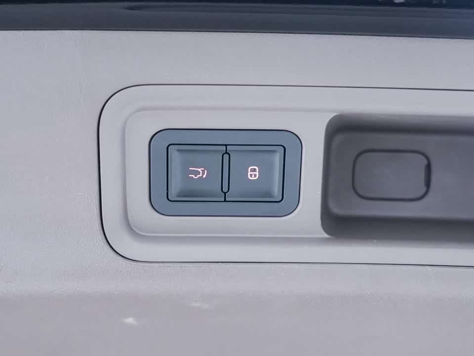 Denza D9 Denza D9