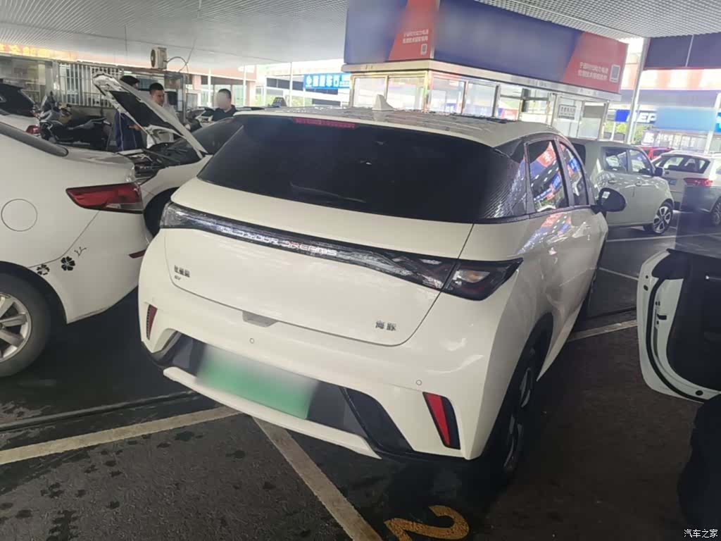 BYD Dolphin, 2024 все фото