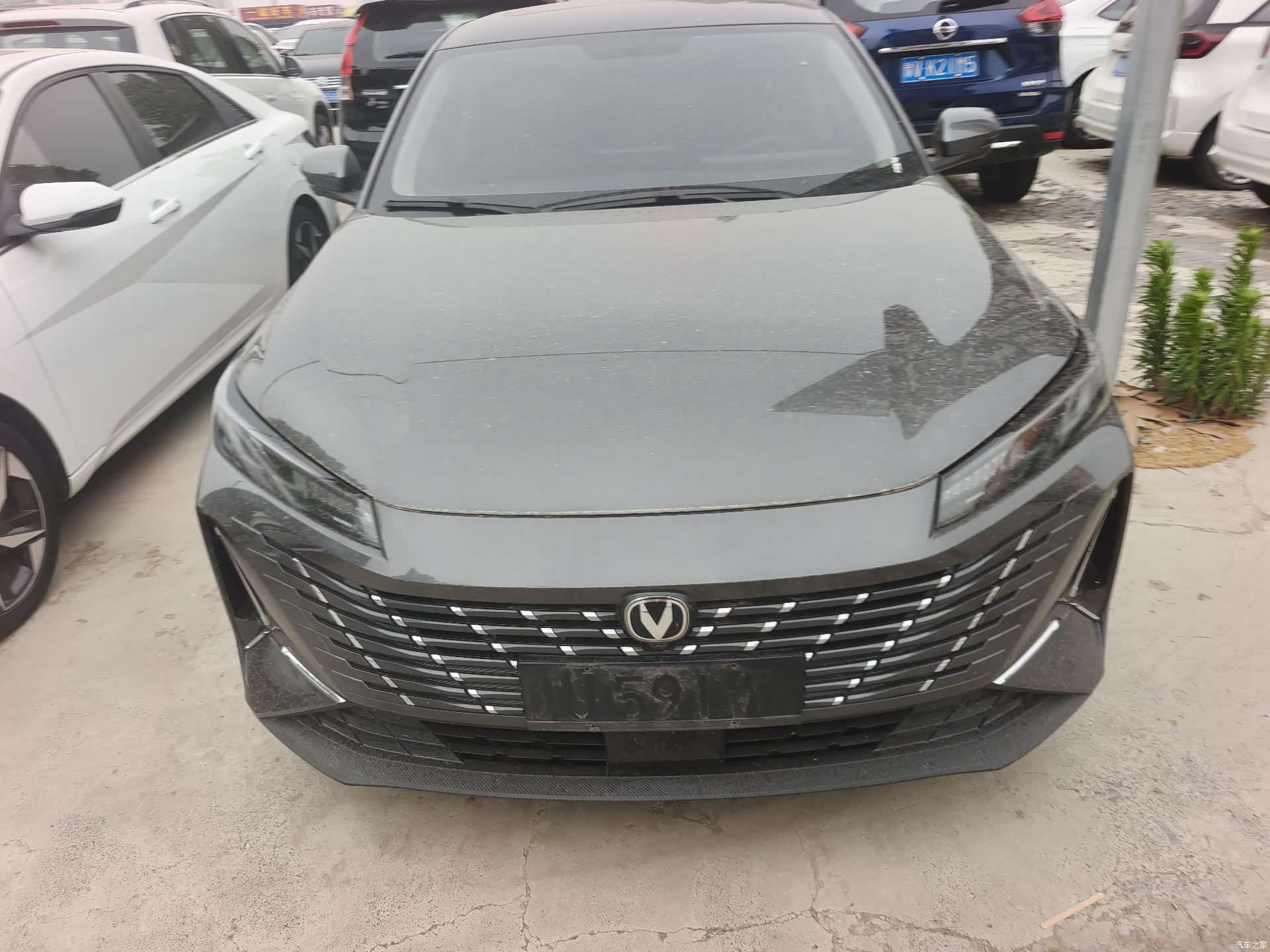 Changan Eado, 2025 2