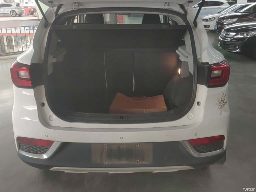 MG ZS, 2018 19