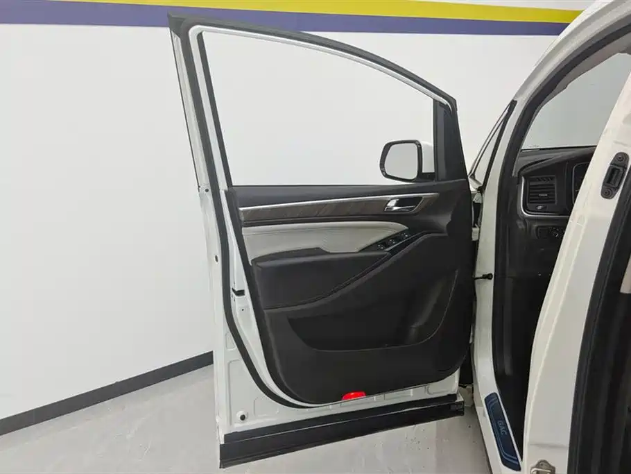 Trumpchi Trumpchi M8