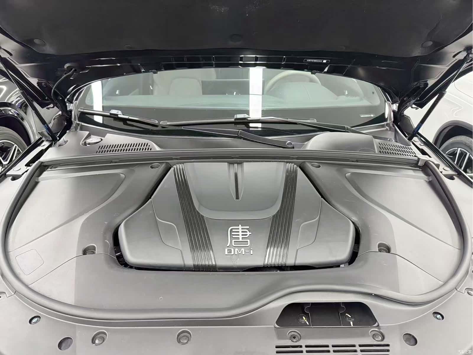 BYD Tang, 2024 24