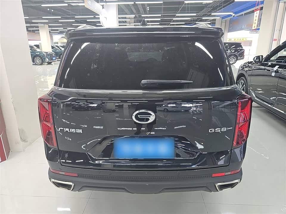 Trumpchi Trumpchi GS8 Trumpchi Trumpchi GS8