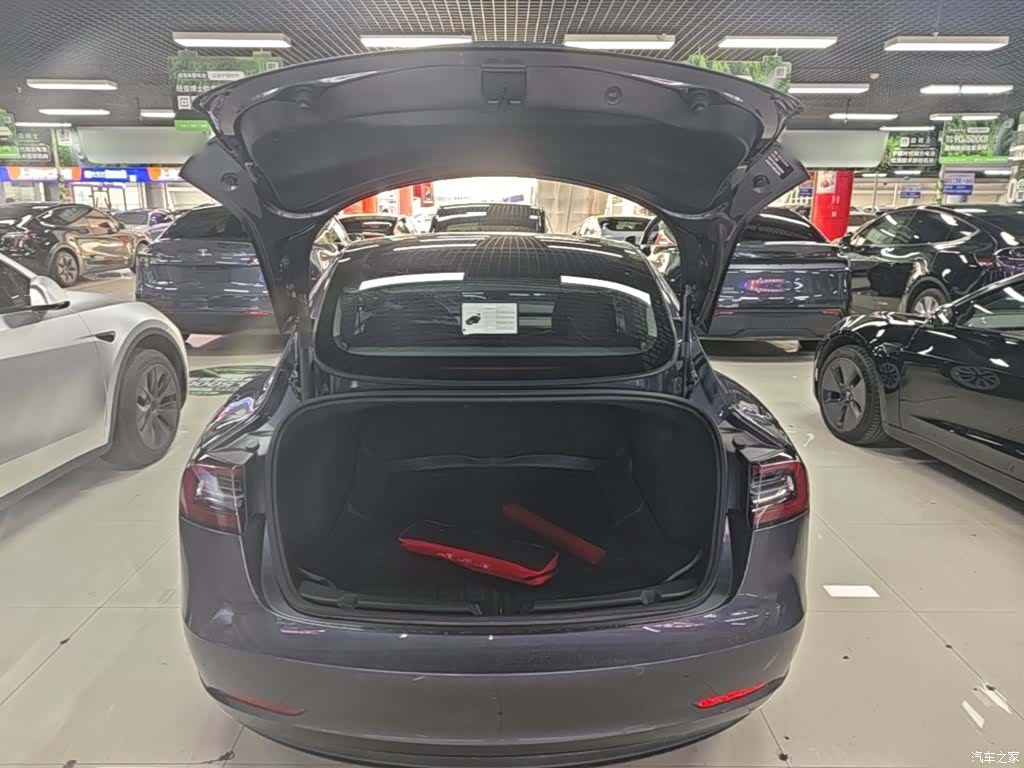 Tesla Model 3, 2021 19